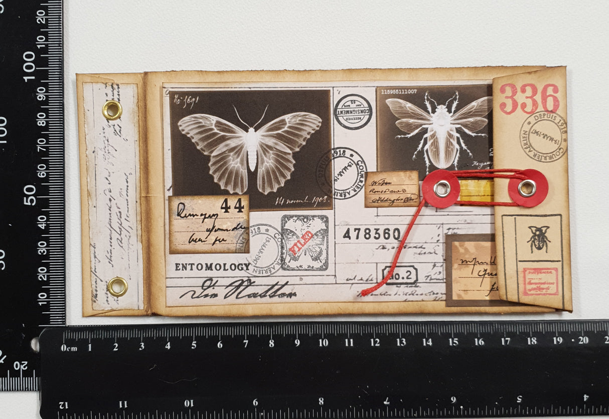 Handmade Entomology Booklet - UB
