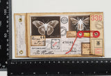 Handmade Entomology Booklet - UB