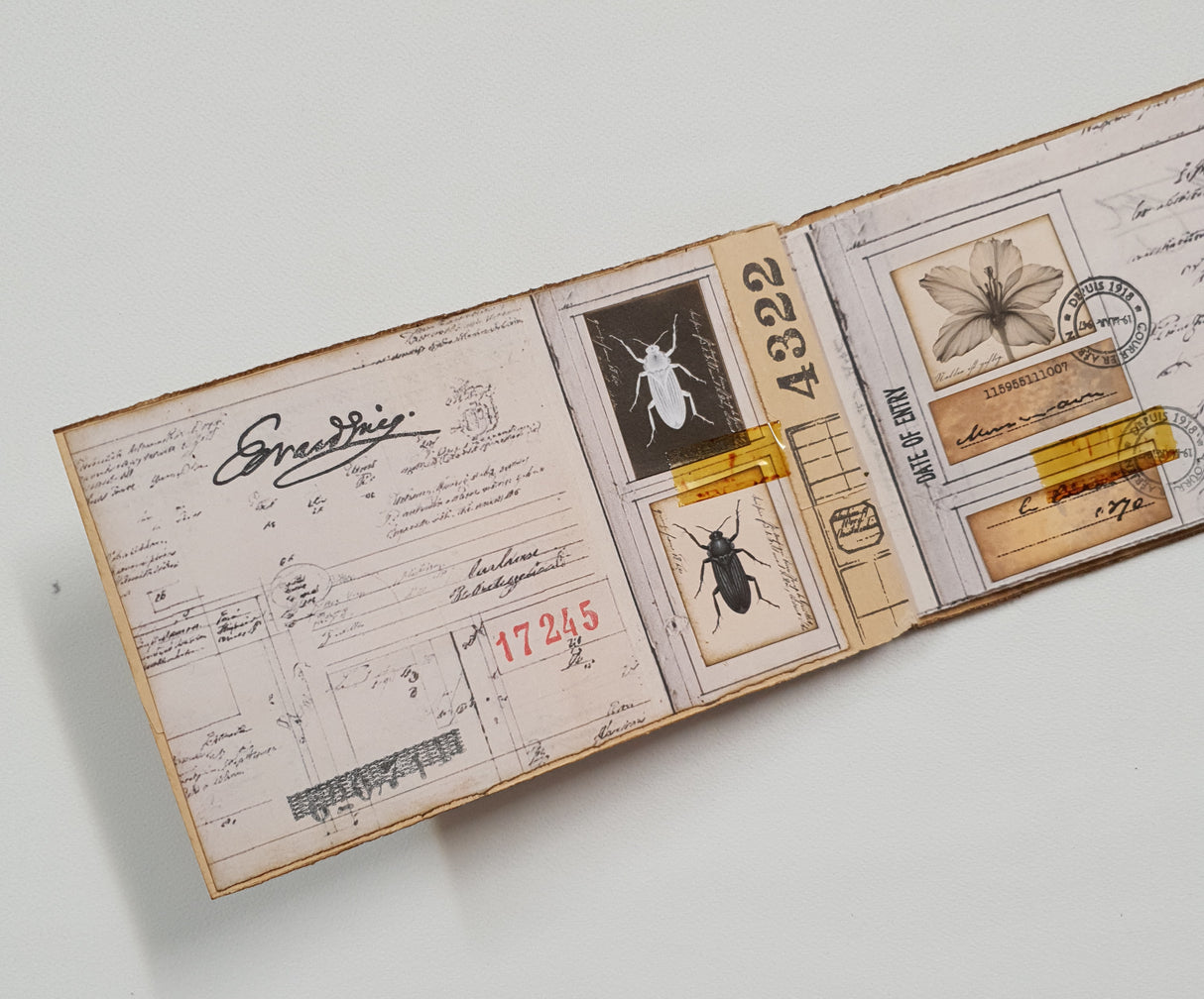 Handmade Entomology Booklet - UB