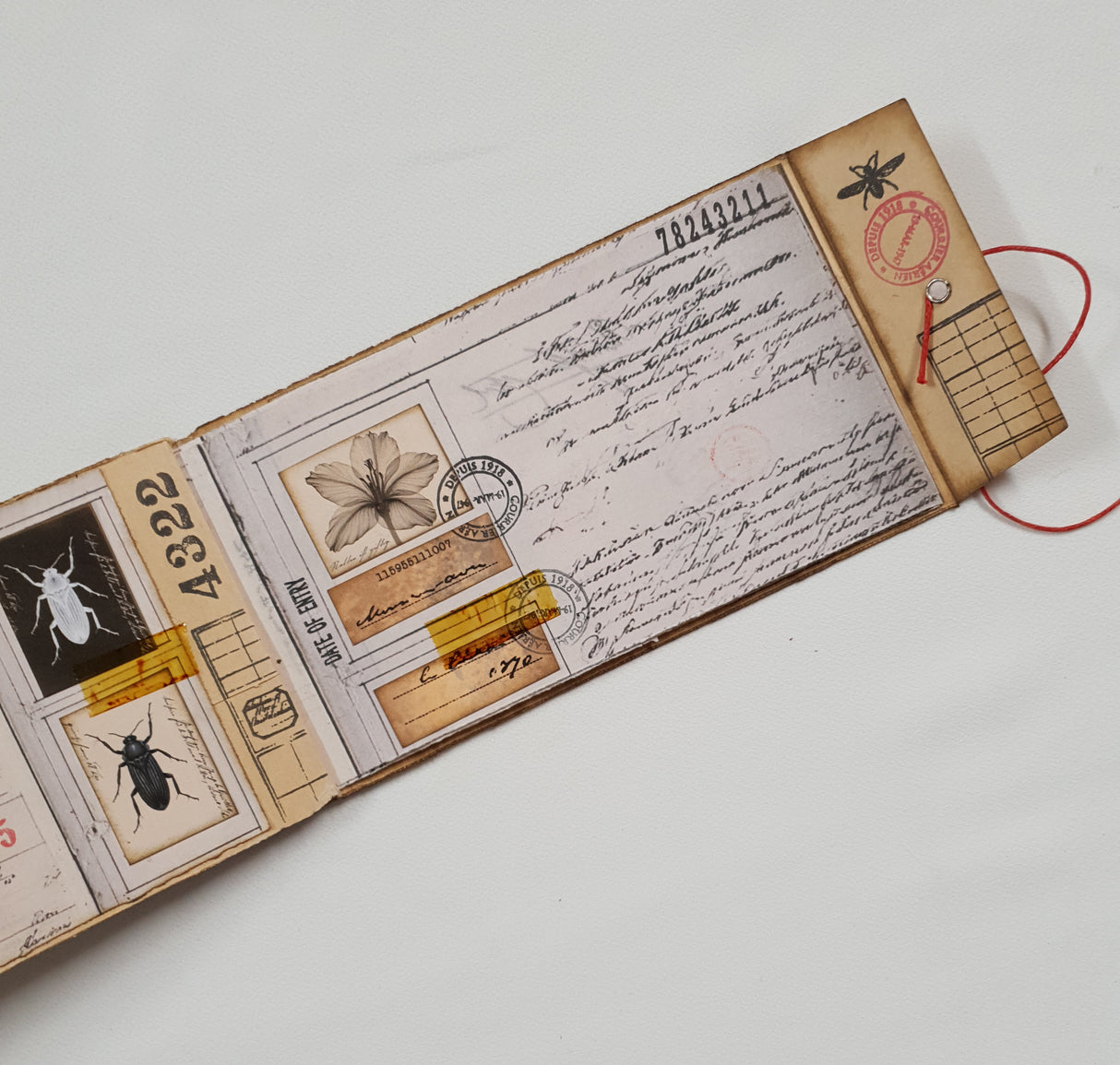Handmade Entomology Booklet - UB