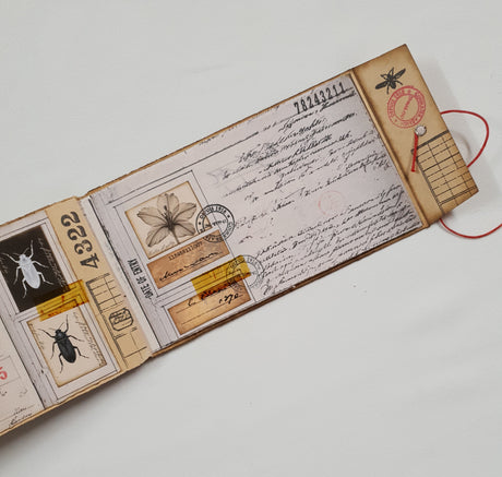 Handmade Entomology Booklet - UB