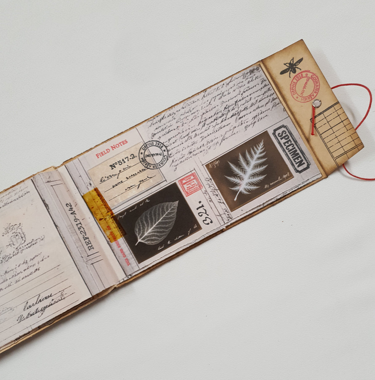 Handmade Entomology Booklet - UB