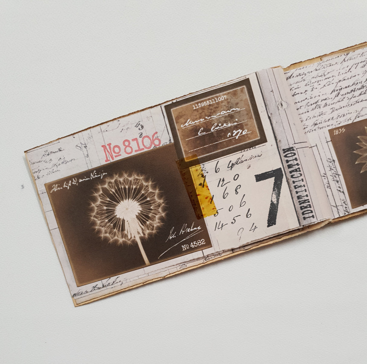 Handmade Entomology Booklet - UB