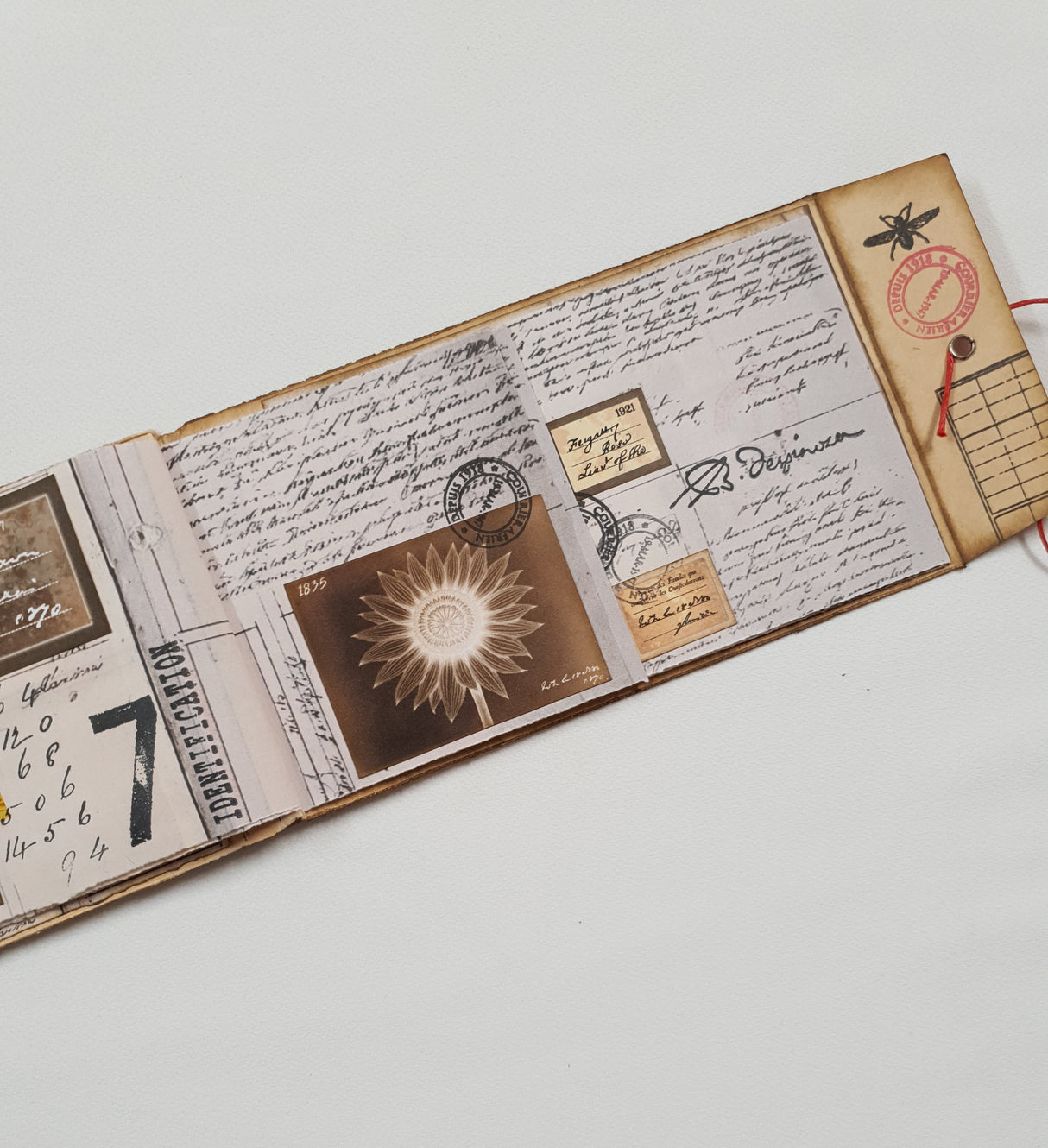 Handmade Entomology Booklet - UB