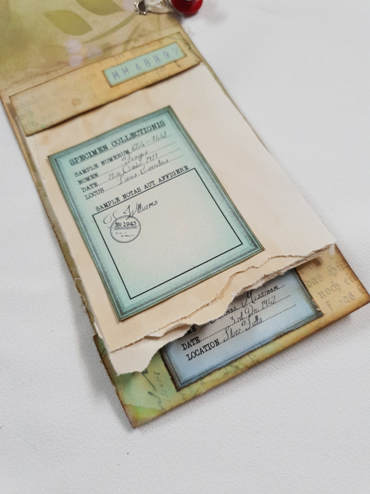 Mushroom Matchbook Notebook - UG