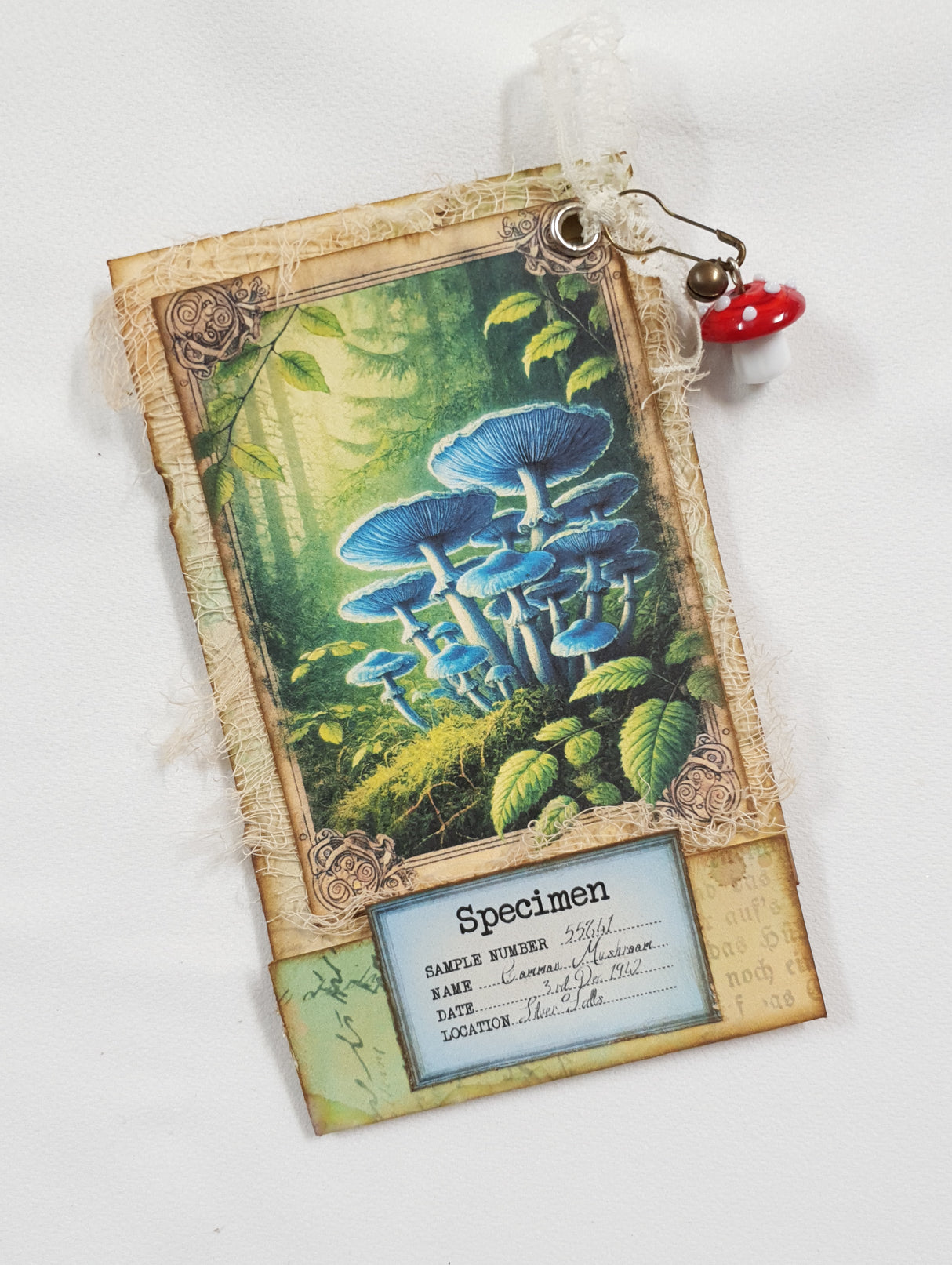 Mushroom Matchbook Notebook - UG