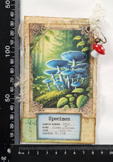 Mushroom Matchbook Notebook - UG