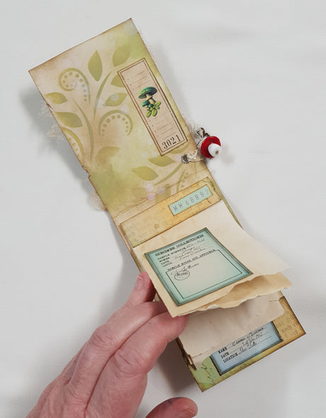 Mushroom Matchbook Notebook - UG