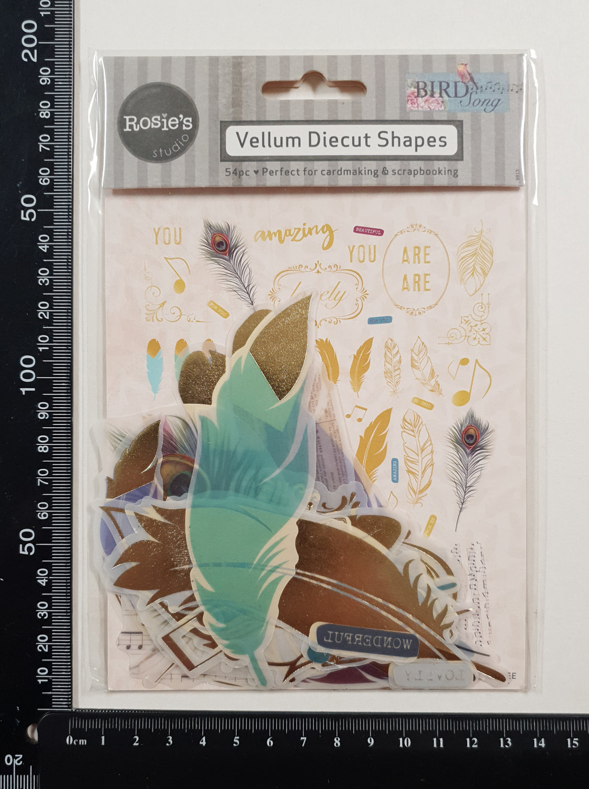 Rosie's Studio - Vellum Die Cut Shapes