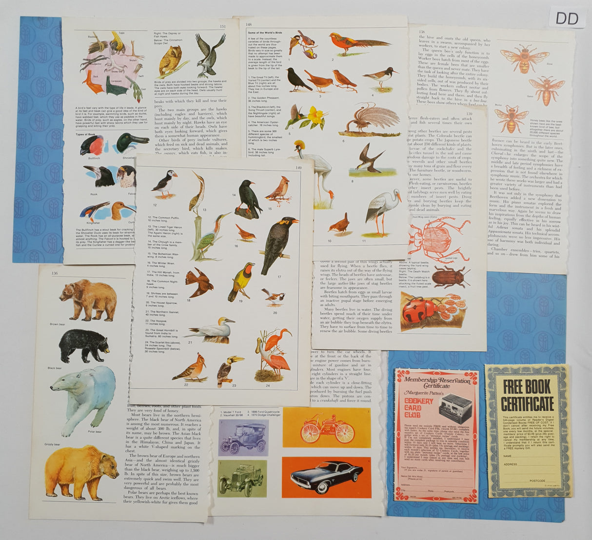 Authentic Vintage Encyclopedia Pages Pack - DD