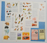 Authentic Vintage Encyclopedia Pages Pack - DD