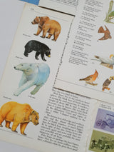 Authentic Vintage Encyclopedia Pages Pack - DD