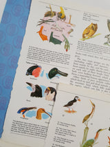 Authentic Vintage Encyclopedia Pages Pack - DD