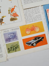 Authentic Vintage Encyclopedia Pages Pack - DD