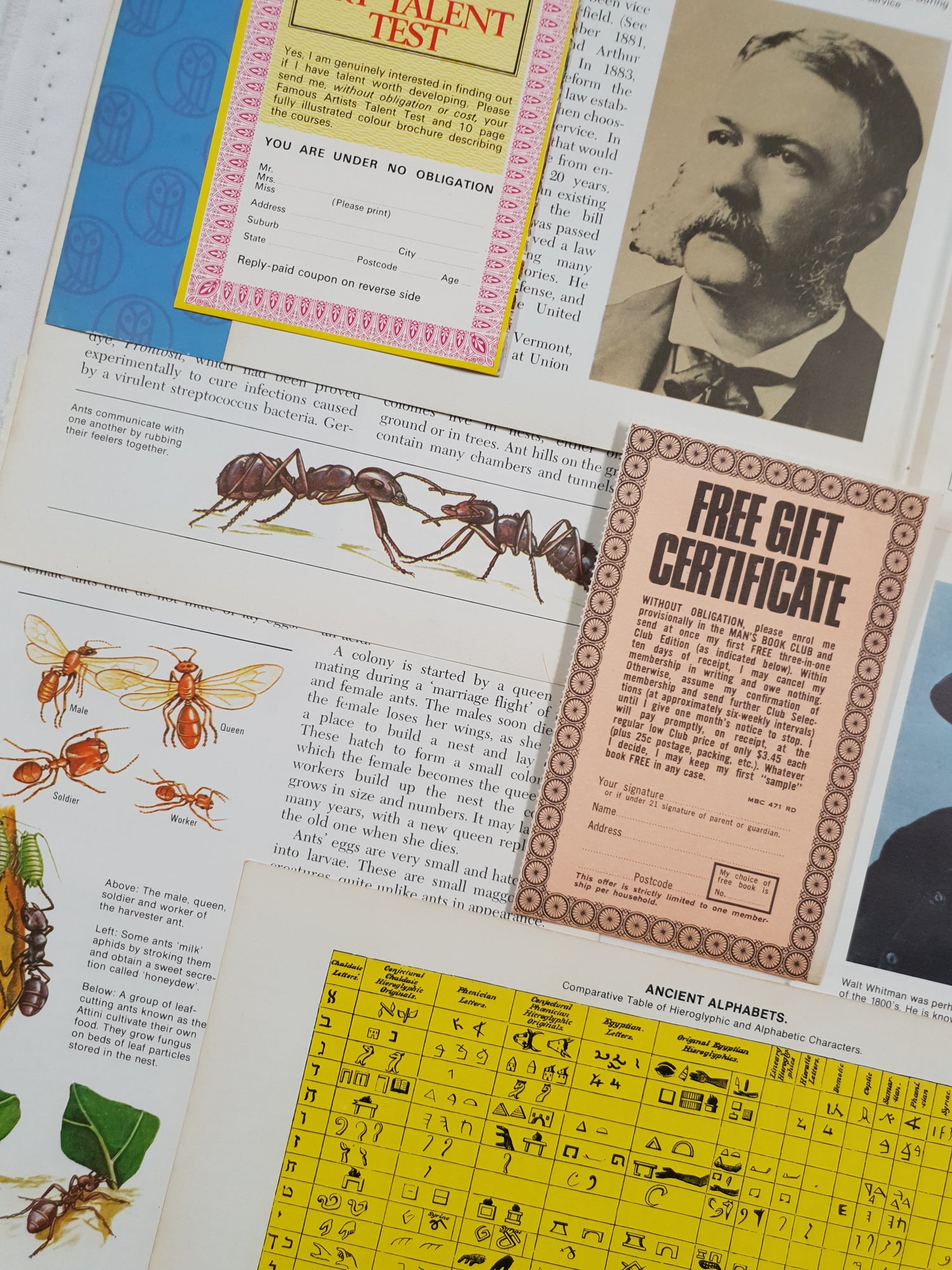 Authentic Vintage Encyclopedia Pages Pack - DE