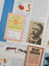 Authentic Vintage Encyclopedia Pages Pack - DE