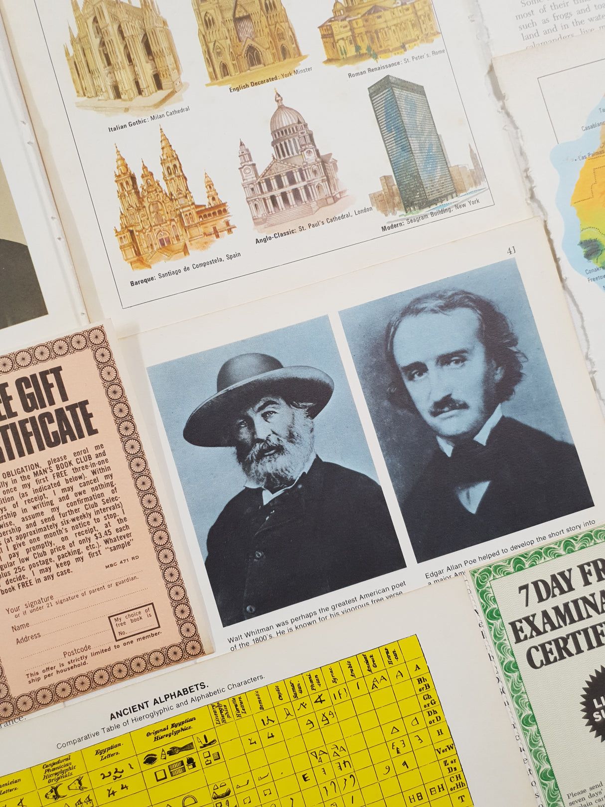 Authentic Vintage Encyclopedia Pages Pack - DE