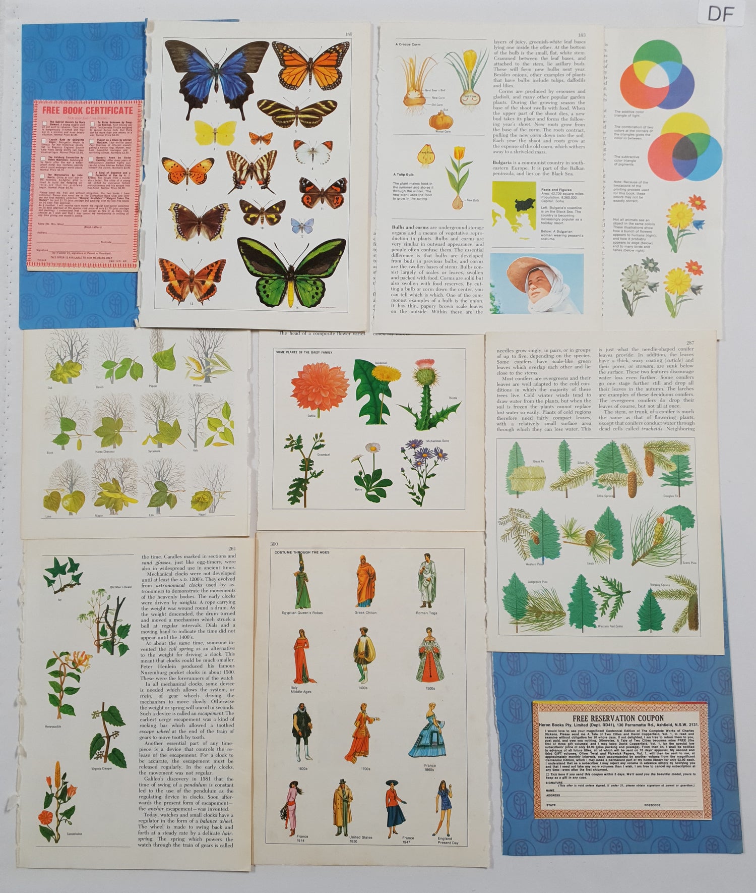 Authentic Vintage Encyclopedia Pages Pack - DF