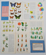 Authentic Vintage Encyclopedia Pages Pack - DF