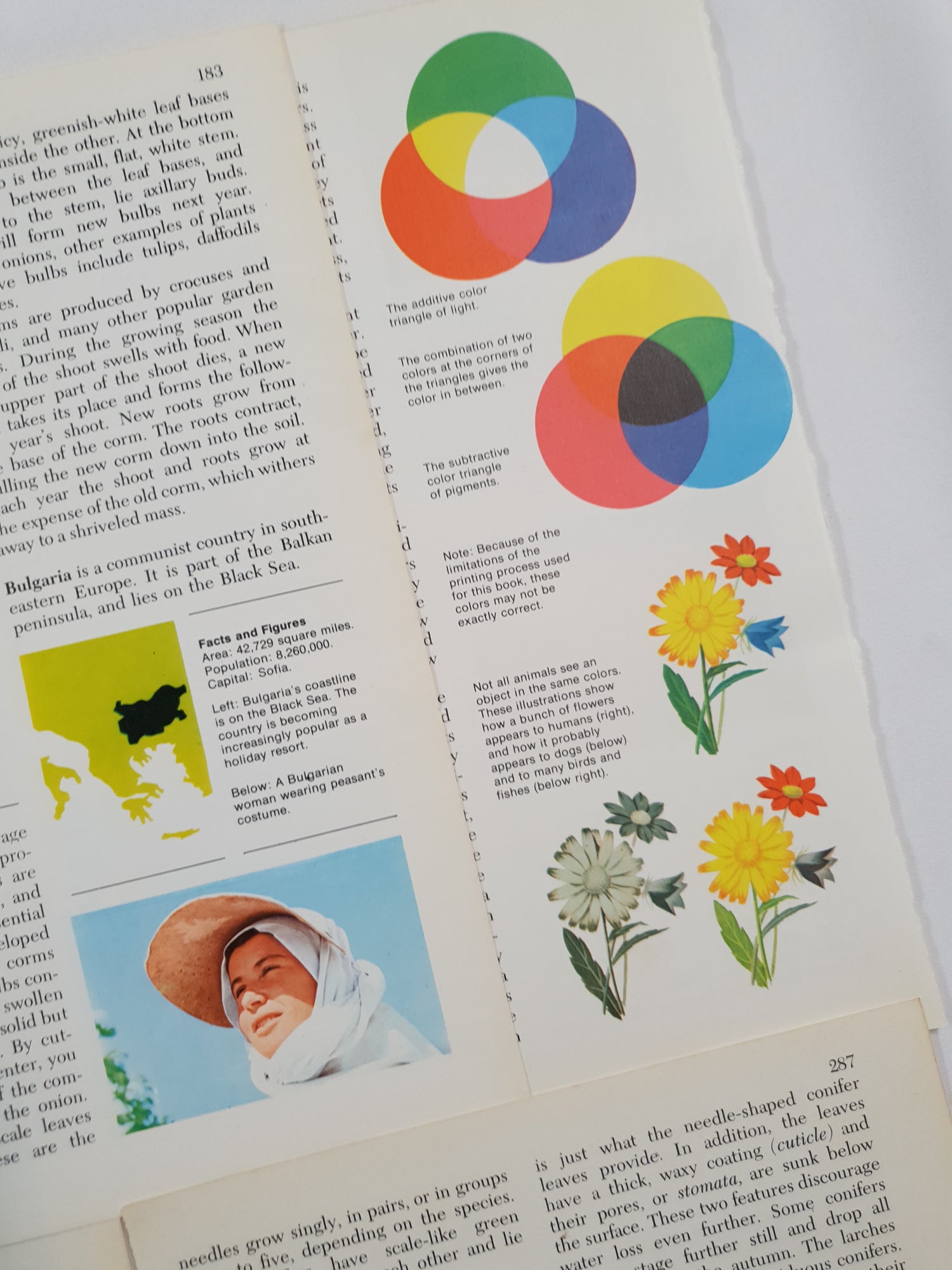 Authentic Vintage Encyclopedia Pages Pack - DF