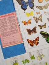 Authentic Vintage Encyclopedia Pages Pack - DF