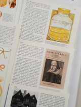 Authentic Vintage Encyclopedia Pages Pack - DG
