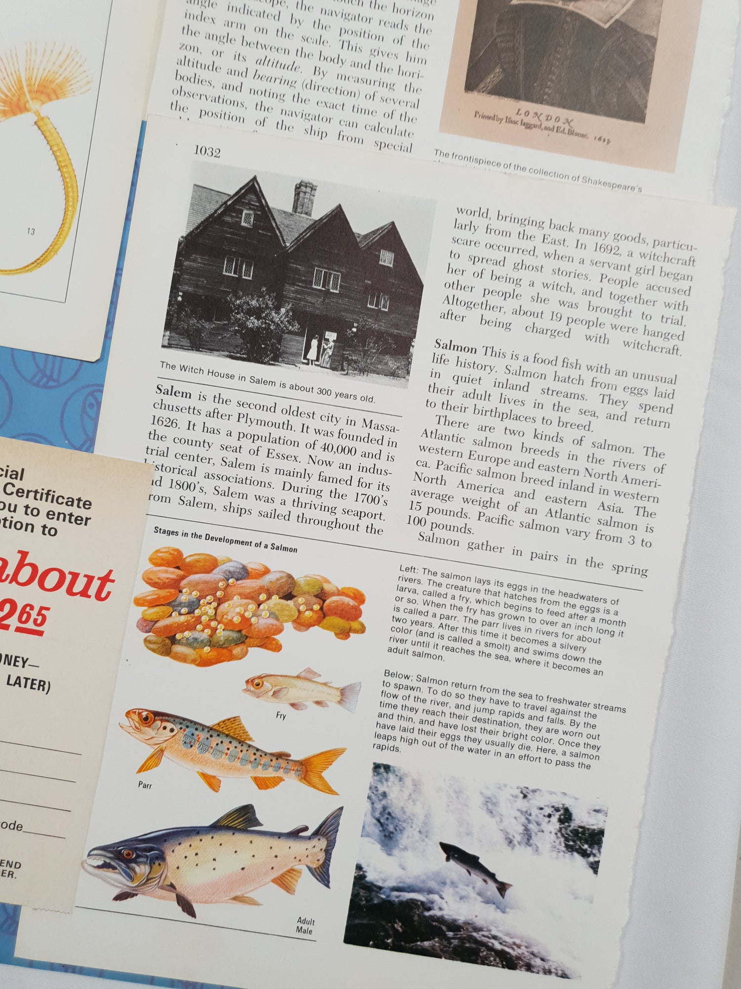 Authentic Vintage Encyclopedia Pages Pack - DG