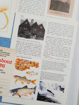 Authentic Vintage Encyclopedia Pages Pack - DG