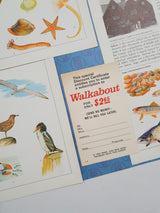 Authentic Vintage Encyclopedia Pages Pack - DG