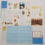 Authentic Vintage Encyclopedia Pages Pack - DH