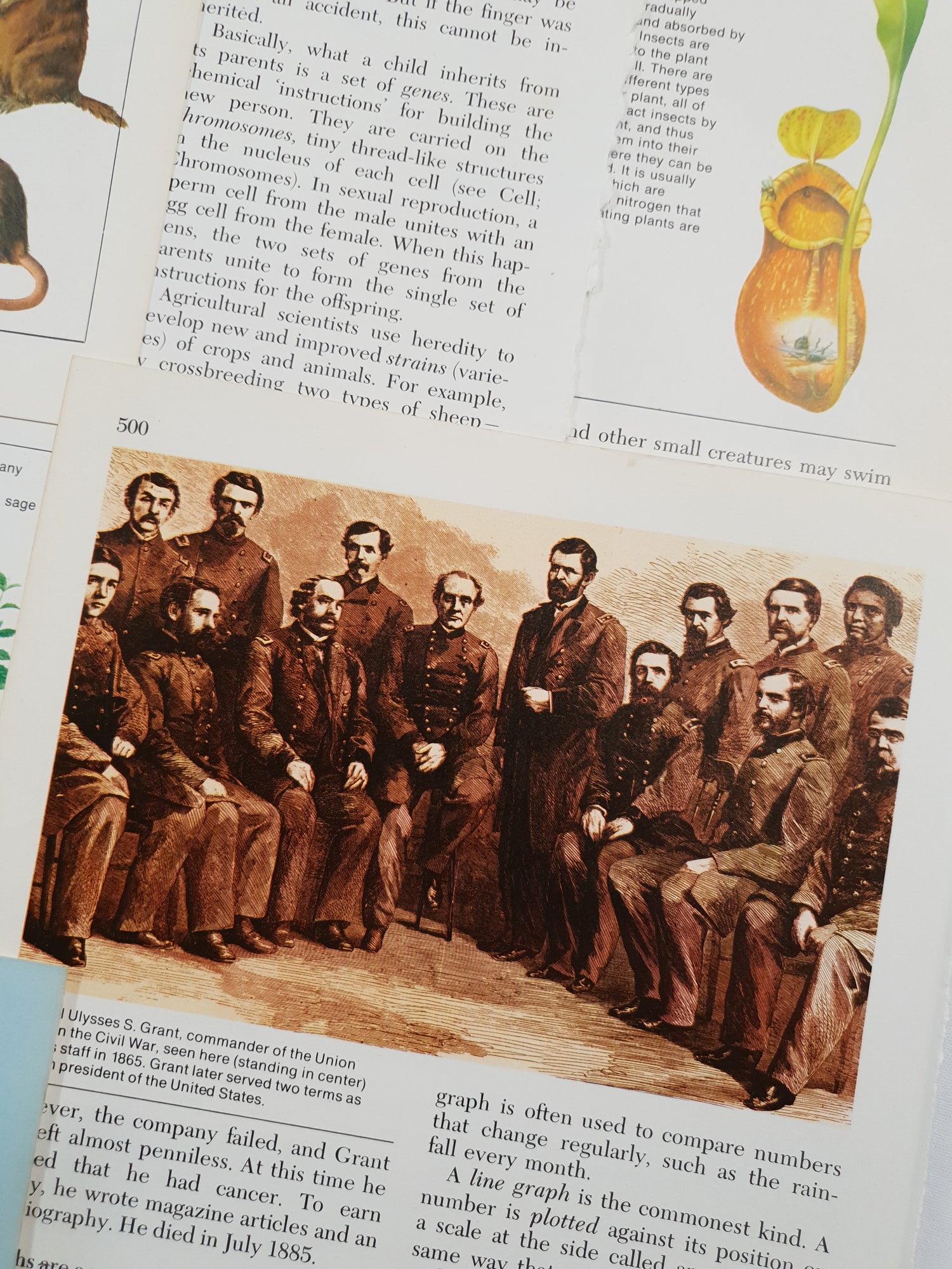 Authentic Vintage Encyclopedia Pages Pack - DH