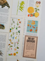 Authentic Vintage Encyclopedia Pages Pack - DI