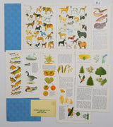 Authentic Vintage Encyclopedia Pages Pack - DJ