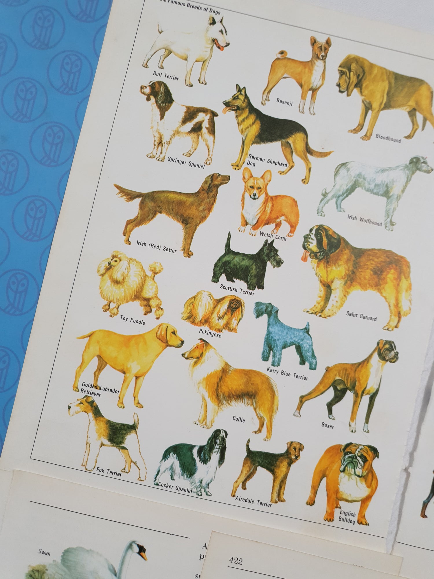 Authentic Vintage Encyclopedia Pages Pack - DJ