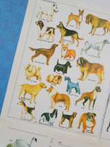 Authentic Vintage Encyclopedia Pages Pack - DJ