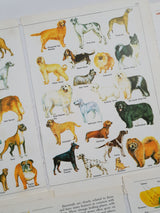 Authentic Vintage Encyclopedia Pages Pack - DJ