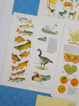 Authentic Vintage Encyclopedia Pages Pack - DJ