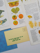 Authentic Vintage Encyclopedia Pages Pack - DJ