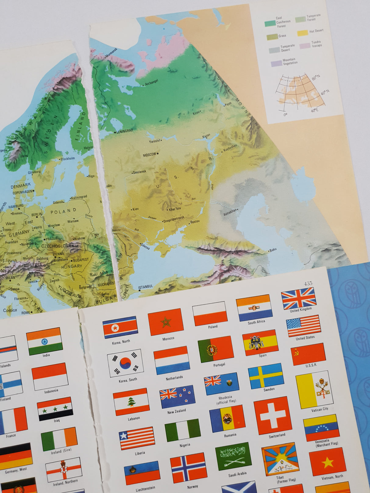 Authentic Vintage Encyclopedia Pages Pack - DK