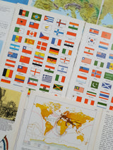 Authentic Vintage Encyclopedia Pages Pack - DK