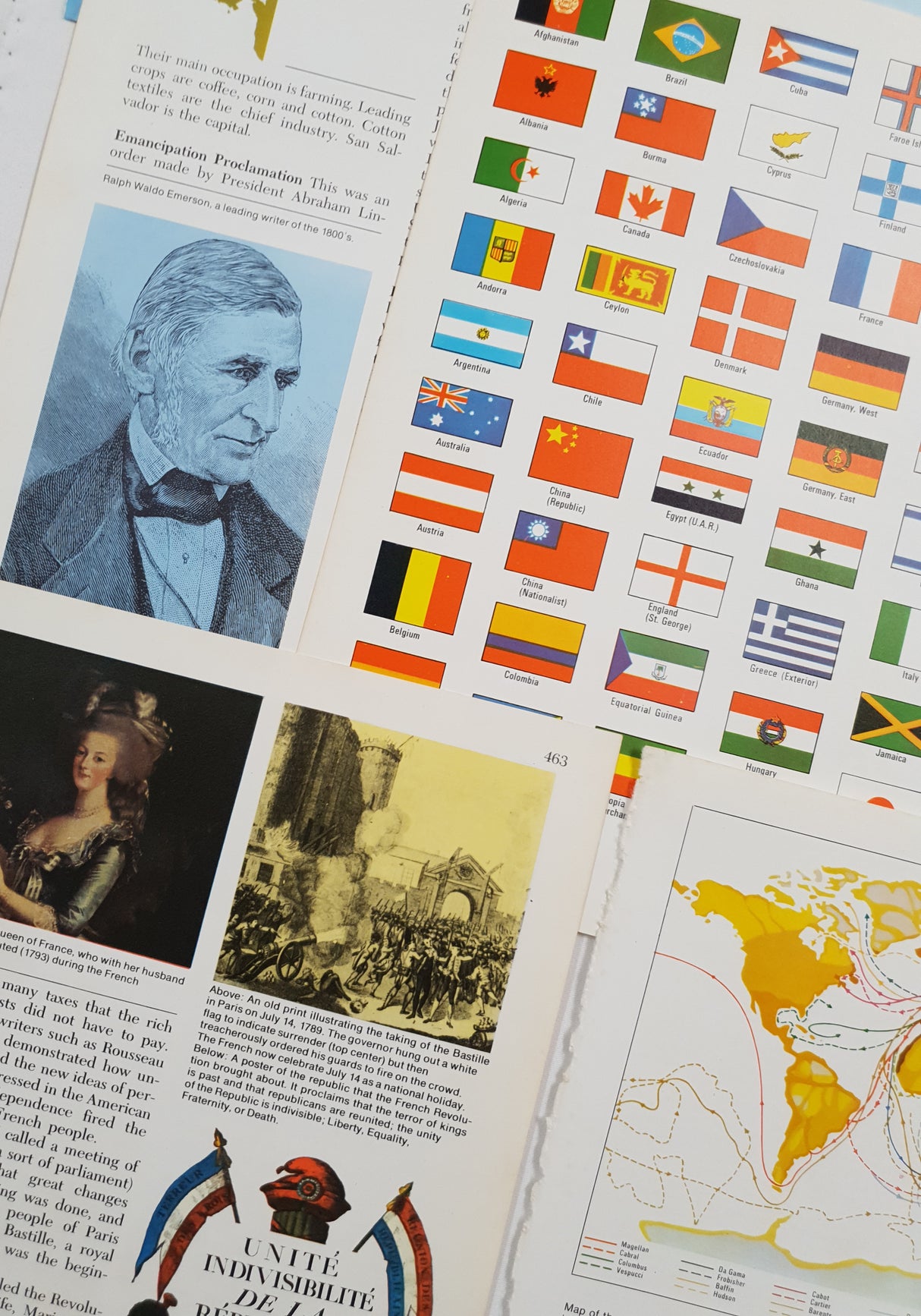 Authentic Vintage Encyclopedia Pages Pack - DK