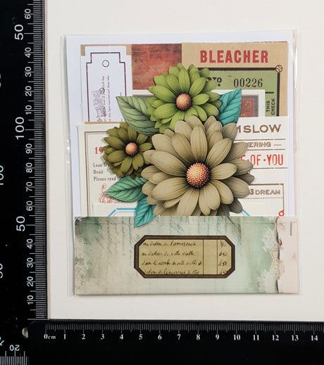 Mini Assorted Ephemera Pack - WT