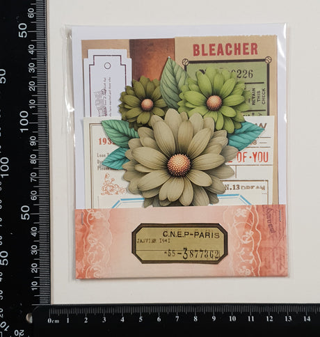 Mini Assorted Ephemera Pack - WU