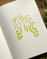 Wattle Blossom - Stencil - 150mm x 150mm