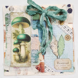 Inspiration Pack - YH