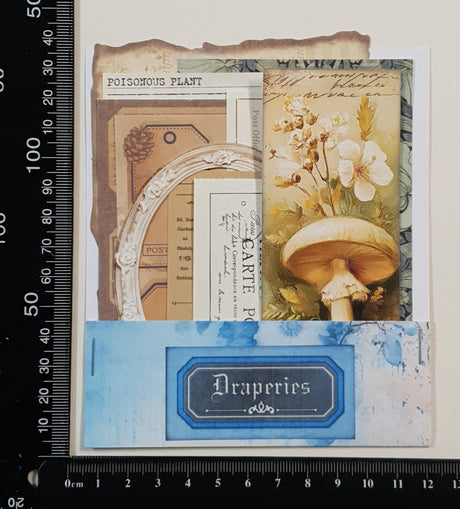 Mini Assorted Ephemera Pack - YV