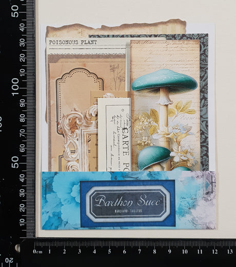 Mini Assorted Ephemera Pack - YW