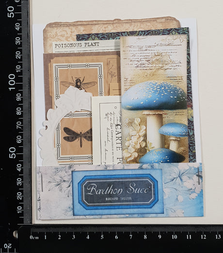 Mini Assorted Ephemera Pack - YX