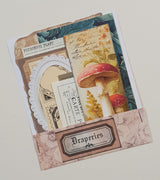 Mini Assorted Ephemera Pack - YY