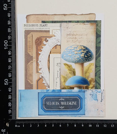 Mini Assorted Ephemera Pack - YZ